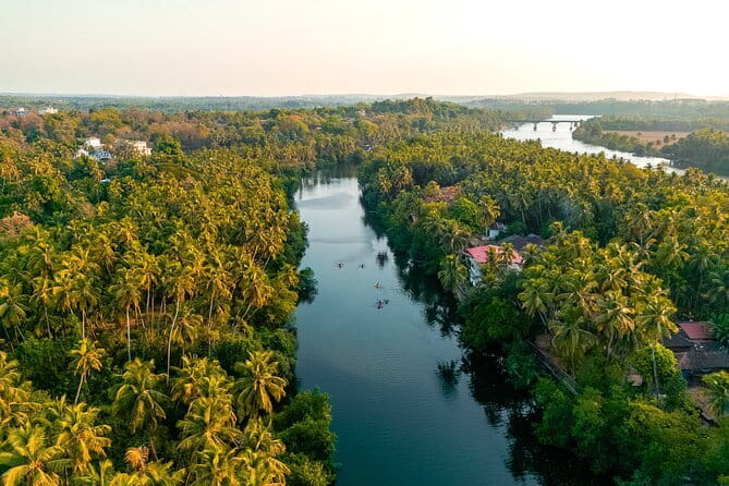 Backwater Kayaking Experience - Safety and Comfort: Why the Guide Matters More Than You Think