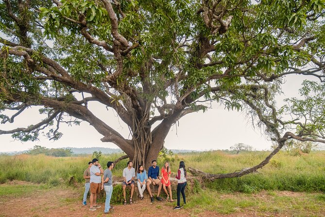 Chronicles and Echoes of Divar Island by Make It Happen - Divar Island: the Goan side most people rush past