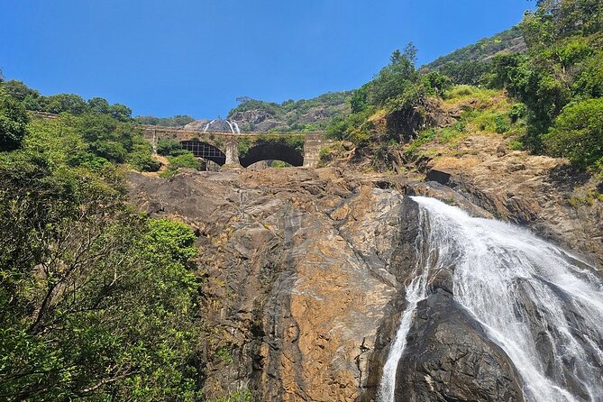 Dudhsagar Waterfalls, Jeep Safari & Spice Plantation private tour - Key things to know before you go