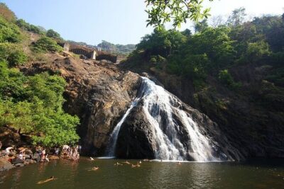 Dudhsagar Waterfalls, Jeep Safari & Spice Plantation private tour - Dudhsagar Waterfalls: Why It Can Be Magic or a Letdown