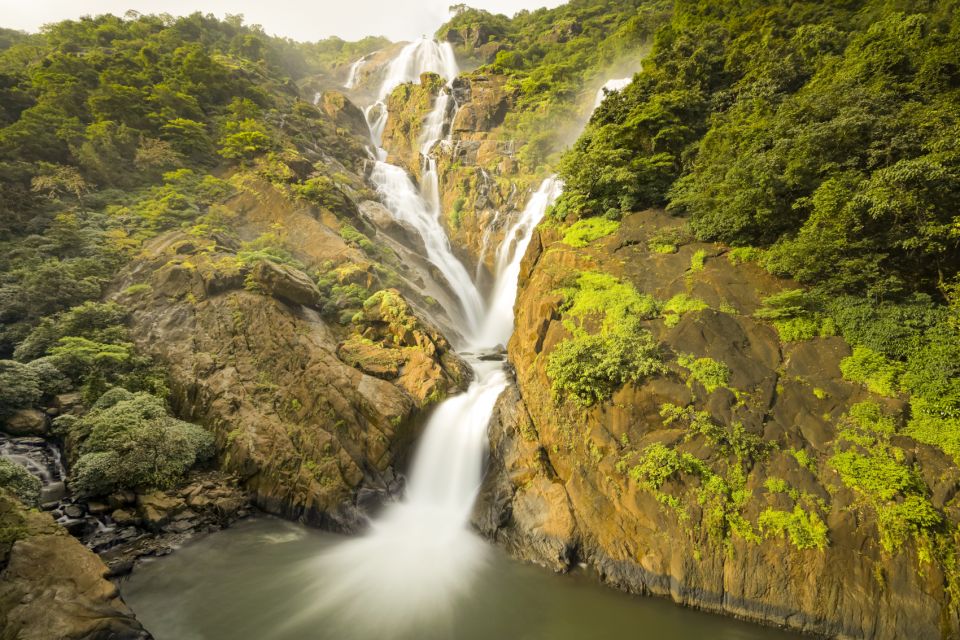 From Goa: Dudhsagar Waterfalls & Plantation Tour - Key highlights worth centering in your plan