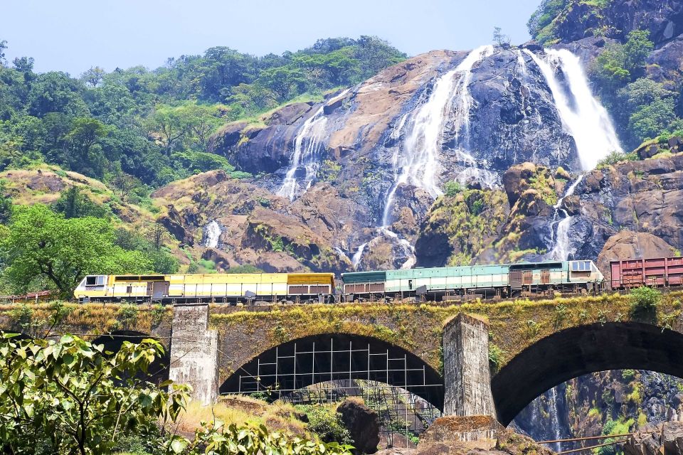 From Goa: Dudhsagar Waterfalls & Plantation Tour - Who should book this (and who should skip it)