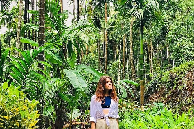 Full-Day Tour Old Goa Dudhsagar Falls and Spice Plantation - Dudhsagar Falls: The Walk-Then-Win Part