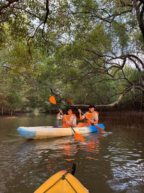 Goa: Backwater Kayaking Tour - River Chapora Kayaking: what this tour feels like in real time