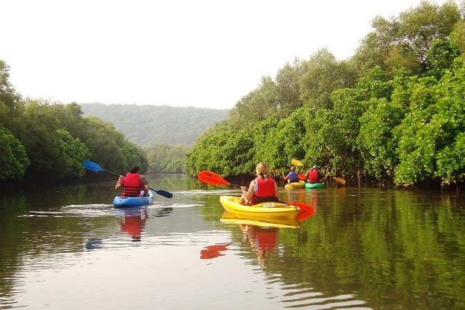 Goa Kayaking in Spike's River - Key things that make this kayaking trip worth it