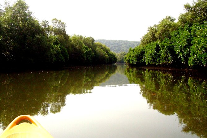 Goa Kayaking Spike's Salonia Backwaters Kayaking Experience - Mangroves, nooks, and tide: how the route changes