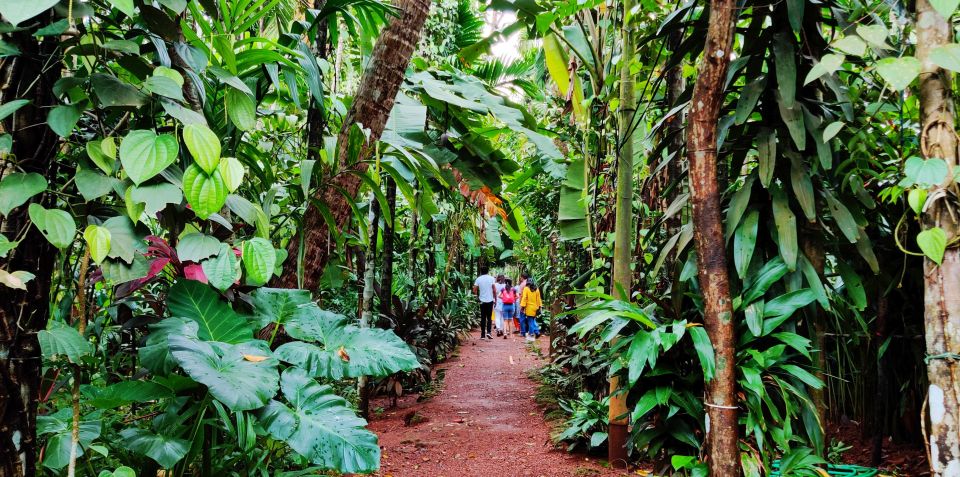 Goa: Private Full-Day Sightseeing Highlights Tour - How Much Value $71 Can Actually Buy You