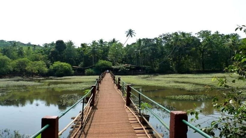 Goa Shore Excursions: Highlights of Goa - Shri Mangueshi Temple: seeing Hindu heritage in the middle of the day
