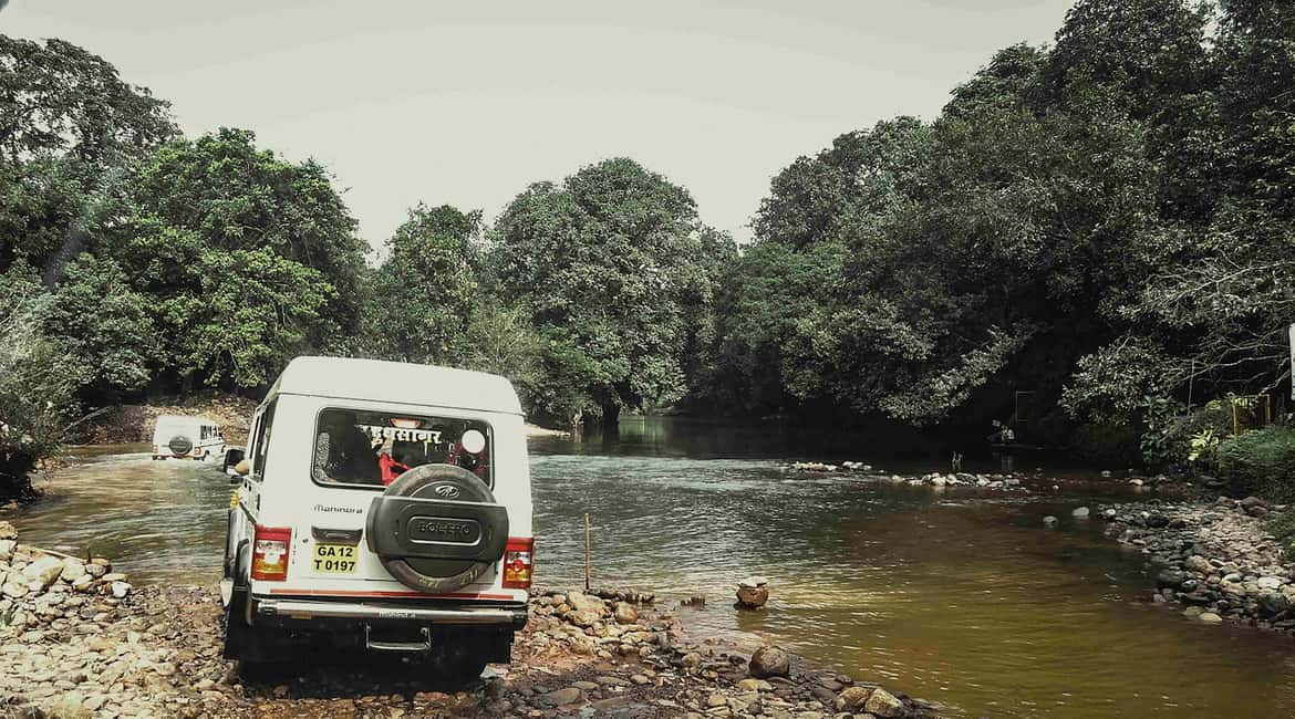 Goa: SIC Dudhsagar Waterfall and Spice Plantation Day Tour - Who should book this tour (and who should skip it)