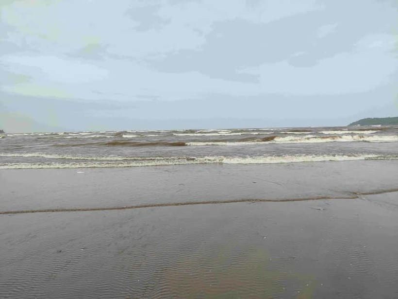 Goa: SIC South Goa Sightseeing Tour - Price and logistics: the part to take seriously