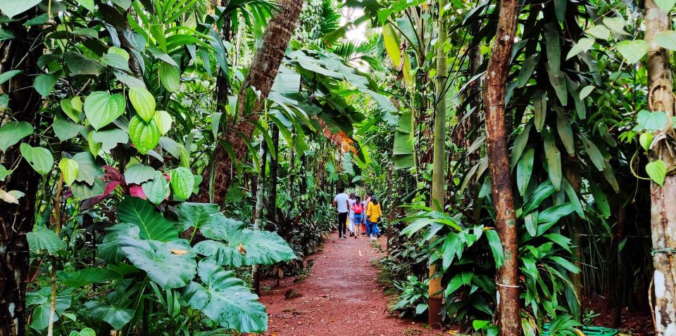 Goa: Spice Plantation Tour and Traditional Local Lunch - What you learn about spices (and how to use it back home)