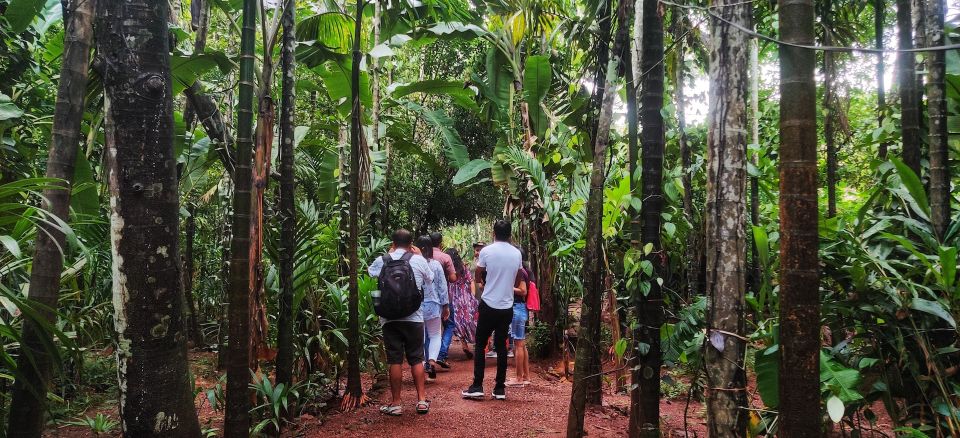 Goa: Spice Plantation Tour and Traditional Local Lunch - Feni tasting: cashew spirit in the mix