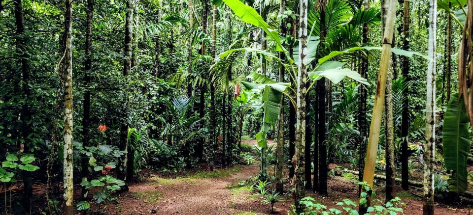 Goa: Spice Plantation Tour and Traditional Local Lunch - Optional temple visit and the spice shop for take-home buys