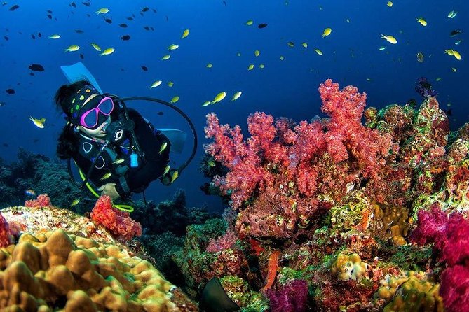 Grand Island Adventure: Diving and Water Sports Thrills - Getting there from Calangute: meeting point and how the day flows