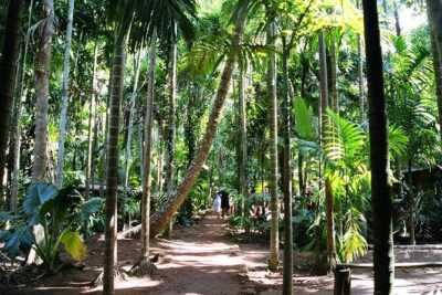 Highlights of South Goa with Spice Plantation Tour (Guided Fullday Tour by Car) - Goa Chitra Museum: Goan Storytelling Beyond One Chapter