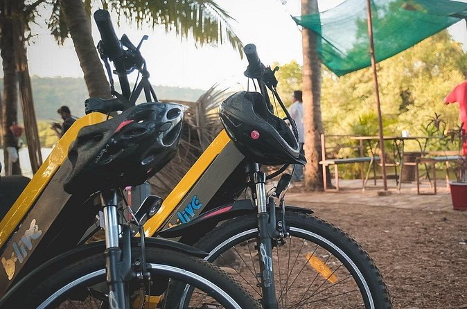 Island Hopping: Day E-Bike Exploration - Vanxim Island and the Backwaters: Motorboat Ride With Wildlife Potential