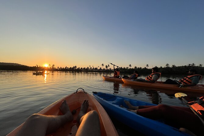 Kayaking At Private Island In Goa - Price and value: what $22.35 covers for a 3.5-hour small-group outing