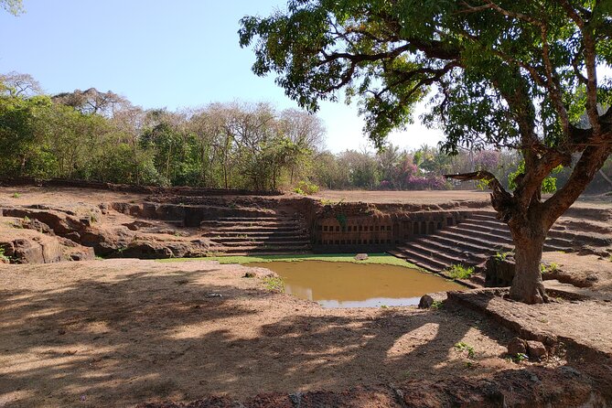 The Divar Island Exploration - Price and value: $21.19 for a 4-hour island + water day